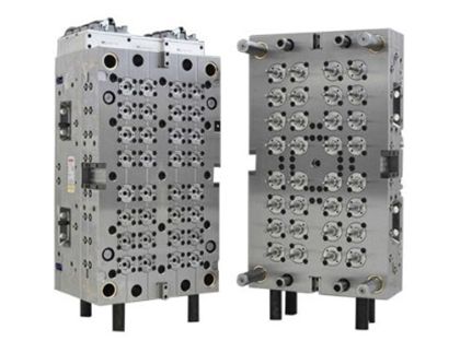 Lékařská plíseň